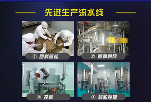 网络技术服务 驱动数字化转型的关键力量